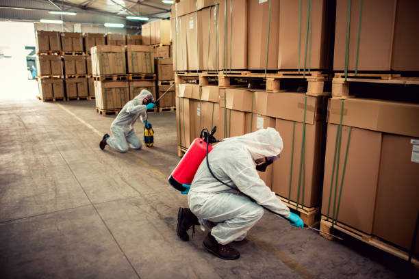 Best Best Pest Control Companies  in Merian, ID