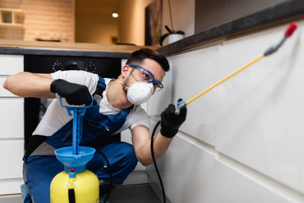  Merian, ID Pest Control Pros