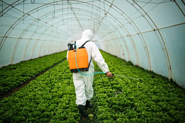 Best Affordable Exterminators  in Merian, ID
