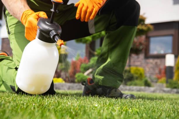 Best Rat Extermination Near Me  in Merian, ID