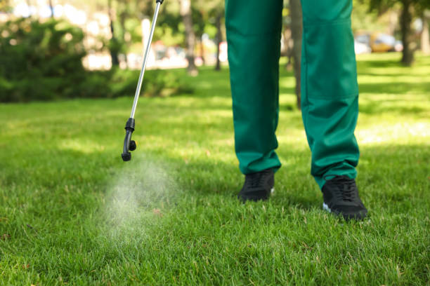 Best Mosquito Control Services  in Merian, ID