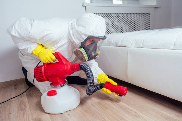 Best Pest Removal Services  in Merian, ID
