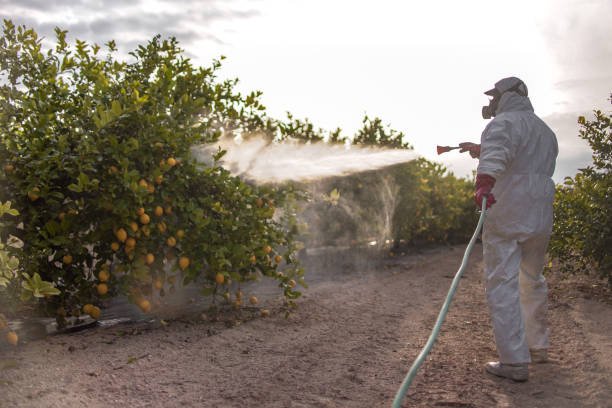 Best Mosquito Control Services  in Merian, ID