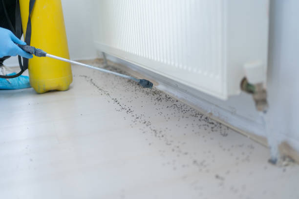 Meridian, ID Pest Control Company