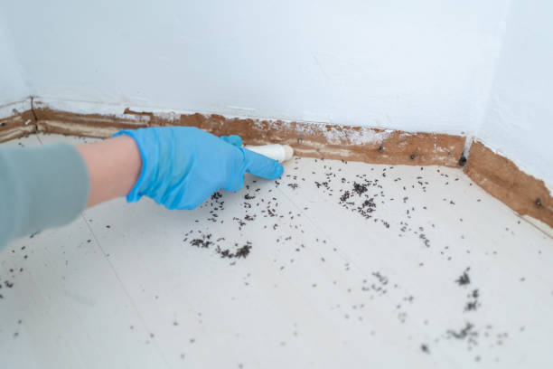 Best Residential Pest Control  in Merian, ID